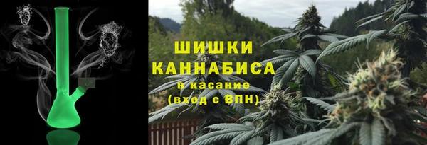ГАЛЛЮЦИНОГЕННЫЕ ГРИБЫ Коряжма