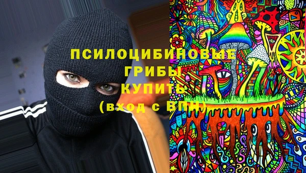 ГАЛЛЮЦИНОГЕННЫЕ ГРИБЫ Коряжма