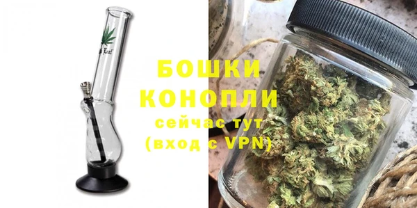 ГАЛЛЮЦИНОГЕННЫЕ ГРИБЫ Коряжма