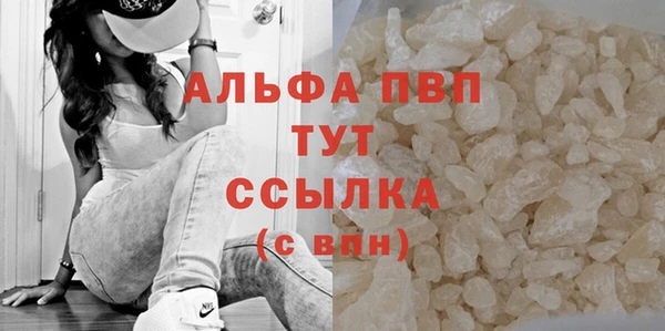 ГАЛЛЮЦИНОГЕННЫЕ ГРИБЫ Коряжма