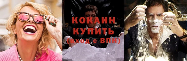 ГАЛЛЮЦИНОГЕННЫЕ ГРИБЫ Коряжма