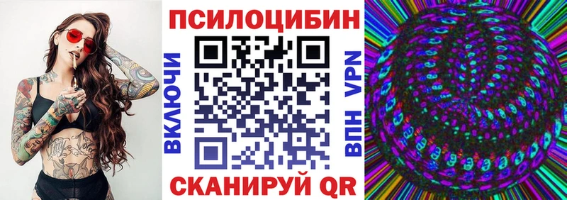 как найти закладки  Североморск  сайты даркнета телеграм  Псилоцибиновые грибы Magic Shrooms 