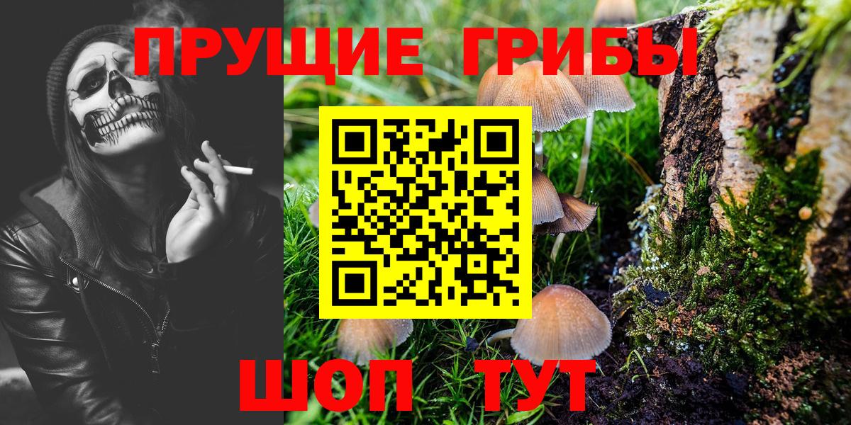 Псилоцибиновые грибы MAGIC MUSHROOMS Североморск