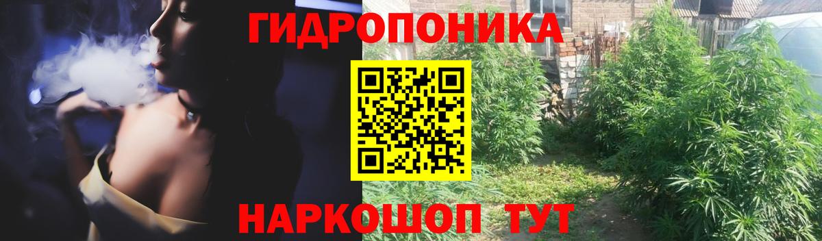Бошки Шишки планчик  Бошки марихуана THC 21%  Канабис AK-47  Вход с VPN  Конопля марихуана  Североморск 